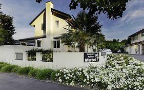 Airport Palms Motel